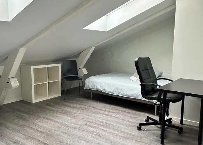 Single-Bed Rooms In Central Located Apartment In Trondheim